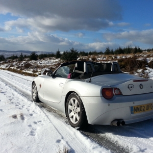 Zed in the welsh snow