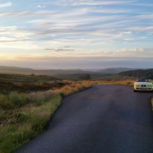 Galloway forest park