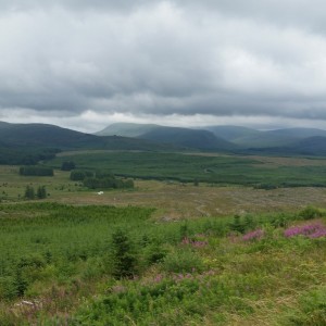 Galloway forest park