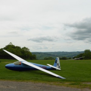 Buttercups and Planes