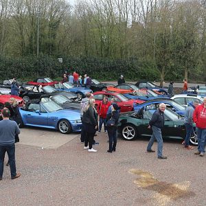 New Forest, 15 April 2018