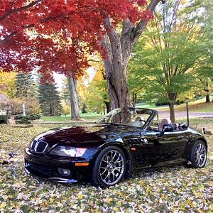 top down fall pic