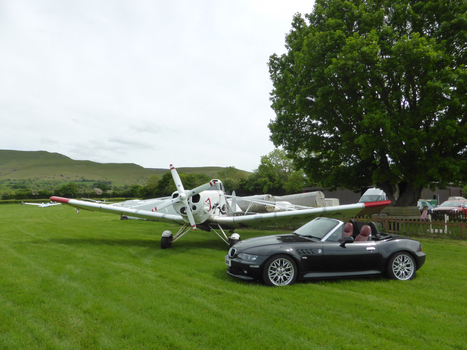 Buttercups and Planes