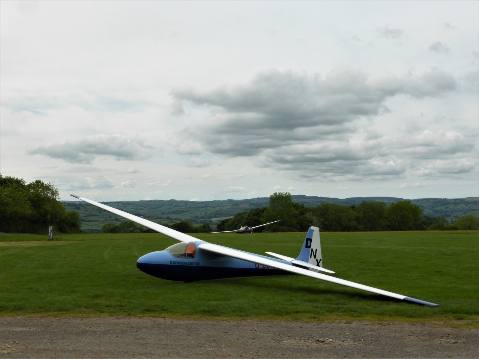 Buttercups and Planes