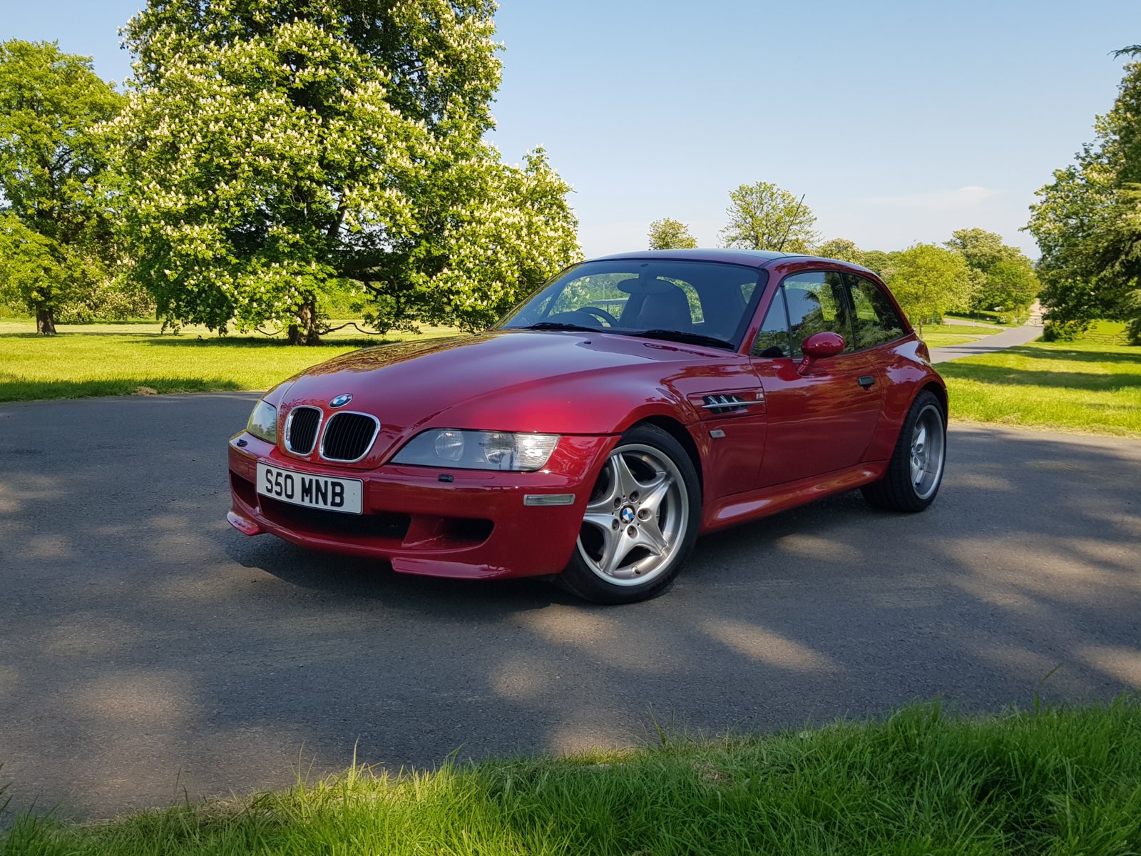 Coupe in the Sun