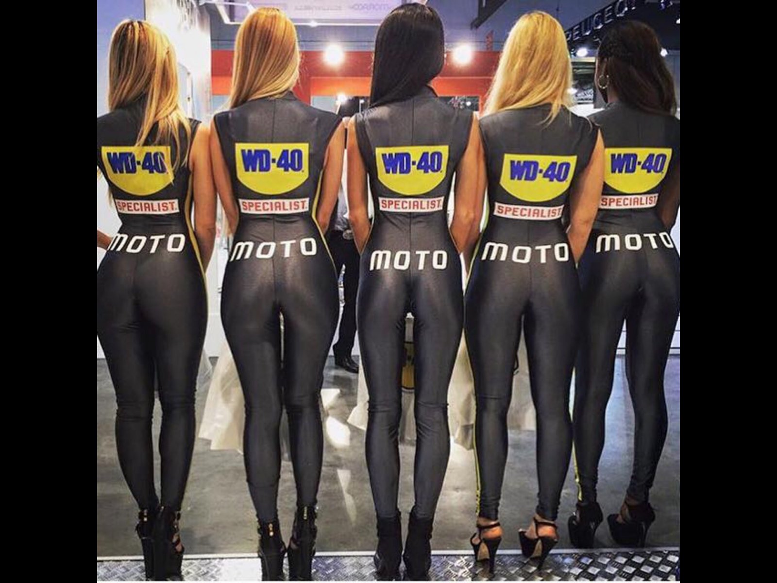 Love wd40