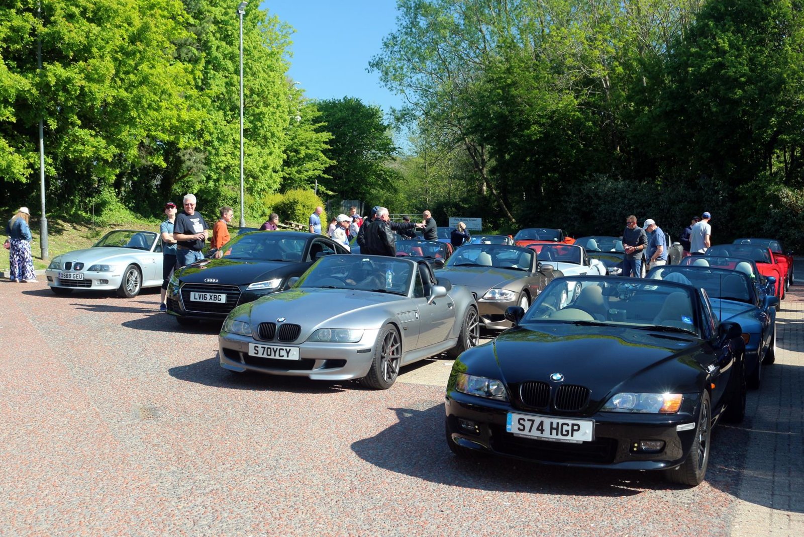 New Forest, 12 May 2019